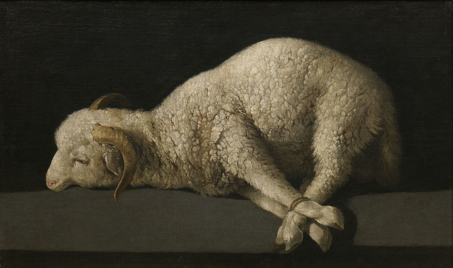 Agnus Dei, by Francisco de Zurbarán